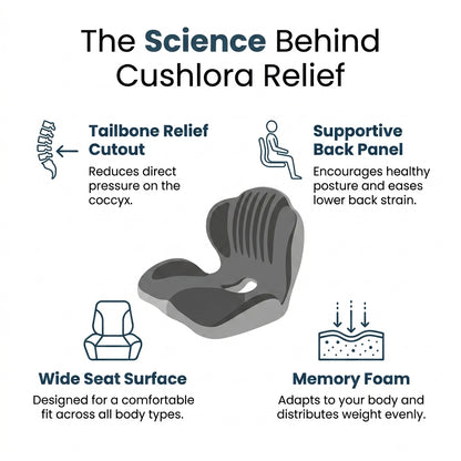 cushlora - back support seat cushion